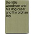 The Little Woodman And His Dog Casar And The Orphan Boy