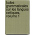 Tudes Grammaticales Sur Les Langues Celtiques, Volume 1