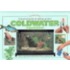 A Practical Guide To Setting Up Your Cold Water Aquarium