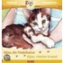 Bijou, die Findelkatze /Bijou, la petite chatte trouvée