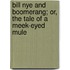 Bill Nye and Boomerang; Or, the Tale of a Meek-Eyed Mule