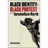 Black Identity And Black Protest In The Antebellum North door Patrick Rael