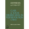 Class And Social Stratification In Post-Revolution China by Unknown