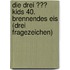Die drei ??? Kids 40. Brennendes Eis (drei Fragezeichen)