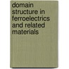 Domain Structure In Ferroelectrics And Related Materials by A.S. Sidorkin