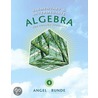 Elementary And Intermediate Algebra For College Students door Richard Semmler