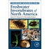 Field Guide To Freshwater Invertebrates Of North America