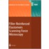 Filler-Reinforced Elastomers / Scanning Force Microscopy