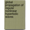 Global Propagation Of Regular Nonlinear Hyperbolic Waves door Tatsien Li
