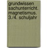 Grundwissen Sachunterricht. Magnetismus. 3./4. Schuljahr by Erik Dinges