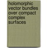 Holomorphic Vector Bundles Over Compact Complex Surfaces door Vasile Brinzanescu