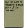 Like The Cats Of Kilkenny: A True Story Of The Civil War by William S. Morgan V