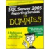 Microsoft Sql Server 2005 Reporting Services For Dummies