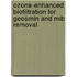 Ozone-Enhanced Biofiltration for Geosmin and Mib Removal