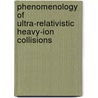 Phenomenology Of Ultra-Relativistic Heavy-Ion Collisions door Wojciech Florkowski