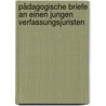 Pädagogische Briefe an einen jungen Verfassungsjuristen by Peter Häberle