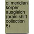 Qi Meridian Körper Ausgleich (Brain Shift Collection 6)