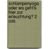 Schlampenyoga Oder Wo Geht's Hier Zur Erleuchtung? 2 Cds