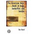 The American Boys' Book Of Bugs, Butterflies And Beetles