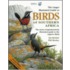 The Larger Illustrated Guide to Birds of Southern Africa