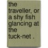 The Traveller, Or A Shy Fish Glancing At The  Tuck-Net .