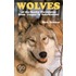 Wolves Of The Rocky Mountains From Jasper To Yellowstone