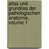 Atlas Und Grundriss Der Pathologischen Anatomie, Volume 1