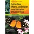 Butterflies, Moths, And Other Invertebrates Of Costa Rica