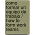 Como Formar Un Equipo de Trabajo / How to Form Work Teams