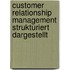 Customer Relationship Management strukturiert dargestellt