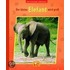 Die Tierkinder-Bibliothek - Der kleine Elefant wird groß