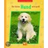 Die Tierkinder-Bibliothek 02 - Der kleine Hund wird groß