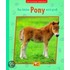 Die Tierkinder-Bibliothek 04 - Das kleine Pony wird groß