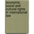 Economic, Social and Cultural Rights in International Law