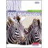 Edexcel Gcse Maths Foundation Student Book (Whole Course)