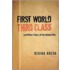 First World Third Class and Other Tales of the Global Mix