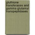 Gluthione Transferases and Gamma-Glutamyl Transpeptidases