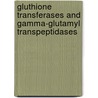 Gluthione Transferases and Gamma-Glutamyl Transpeptidases door Lester Packer