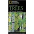 National Geographic Field Guide to Trees of North America