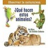 Que Hacen Estos Animales? = What Are These Animals Doing?