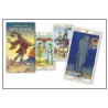Tarot of the New Vision Deck [With Instructional Booklet] door Pietro Alligo