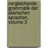 Vergleichende Grammatik Der Slavischen Sprachen, Volume 3