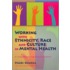 Working with Ethnicity, Race and Culture in Mental Health