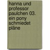 Hanna und Professor Paulchen 03. Ein Pony schmiedet Pläne door Marion Meister