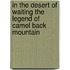 In The Desert Of Waiting The Legend Of Camel Back Mountain