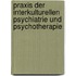 Praxis der interkulturellen Psychiatrie und Psychotherapie