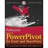 Professional Microsoft Powerpivot For Excel And Sharepoint