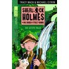 Sherlock Holmes & die Baker-Street-Bande. Die letzte Falle door Tracy Mack