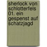 Sherlock von Schlotterfels 01. Ein Gespenst auf Schatzjagd door Alexandra Fischer-Hunold