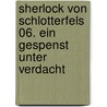 Sherlock von Schlotterfels 06. Ein Gespenst unter Verdacht door Alexandra Fischer-Hunold